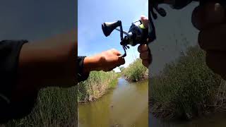 Fishing Day 🎣🐟 fish fishing fishinglife fishing fishinglife shorts [upl. by Ber]