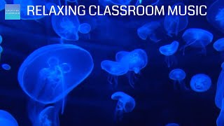 Relaxing Music For Elementary Classroom  Jellyfish Aquarium  Calm classroom music for children [upl. by Flan]