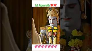 प्रभु की दर्शन मे मिलेगी शांति और मुक्ति ❤️ Jai Jagannath 🙏 shortsfeed reels ytshorts [upl. by Venuti709]