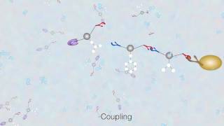 Solid Phase Peptide Synthesis  The Basics [upl. by Esydnac]