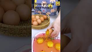 ডিমের কুসুম বের করার গ্যাজেট। Egg yolk extraction gadgetreels viralvideo shortvideo gadgetfun [upl. by Charleen692]