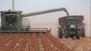 2012 South Texas Grain Sorghum Harvest [upl. by Llemhar862]