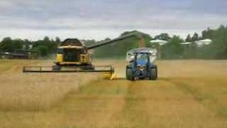 New Holland CR 9080 and Cestari chaser bin [upl. by Nhtanhoj292]