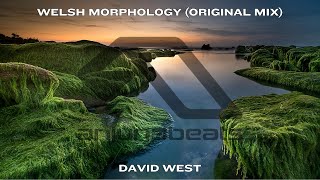 David West  Welsh Morphology Original Mix [upl. by Hudson]