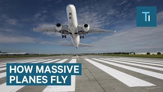 How Massive Airplanes Take Off And Stay In Midair [upl. by Rumilly]