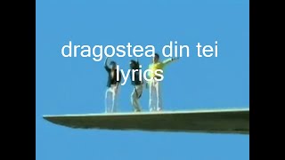 dragostea din tei lyrics [upl. by Isman]