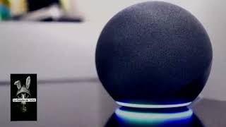 ALEXA SE ENCIENDE EN LA MADRUGADA  Alexa detecta un fantasma  Terror [upl. by Jari508]