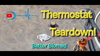 BiMetallic Thermostat Teardown [upl. by Benilda]