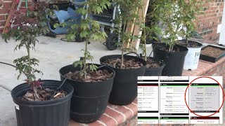 WiFi Reservoir to Water Plants Automatically  Automatic Plant Feeder Monitors Cultivation Remotely [upl. by Sauls197]