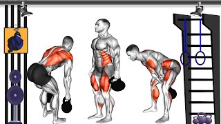 The Best 12 Kettlebell Exercises  The Best Kettlebell Workout at Home or Gym [upl. by Nabi93]