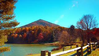 Scenic Fall Colors  Virginias Blue Ridge Mountains [upl. by Coates]