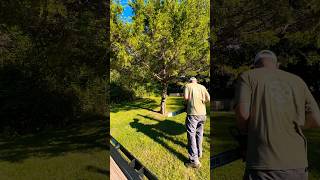 Quick cedar tree timelapse removal [upl. by Ataynek]