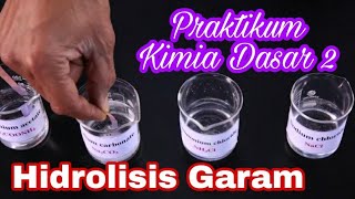 Praktikum Kimia Dasar 2  Hidrolisis Garam [upl. by Haroved]