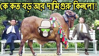 কাইশ্যার ঈদের গরু নিয়ে চাপাবাজি  Kaissa Funny Eid Goru  Bangla Comedy Dubbing [upl. by Ekalb]