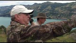 Trophy Wild Pitt Island Ram Hunting [upl. by Eidur]