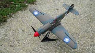 EFlite P40 Warhawk 300 ARF with Rudder Mod [upl. by Louise]