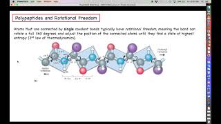 Proteomics  Protein Structure Lecture Part 1  Amino Acids [upl. by Albric]