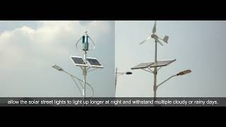 Hybrid Solar Street Light—Solar Wind Street Light lecuso solarstreetlight [upl. by Aikemet]