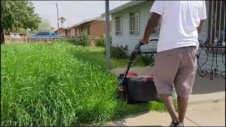 Will Toros newest Vortex Lawn Mower Chop Down 4 Ft Tall Grass [upl. by Ecilayram]