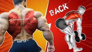 back workout with dumbbells  Sodi Malwa 🔔 [upl. by Ailuy939]