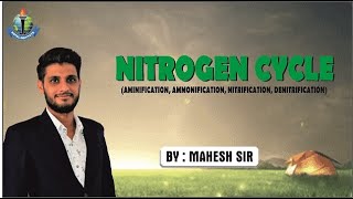 NITROGEN CYCLE  SOIL SCIENCE  N  CYCLE IN SOIL  JET  ICAR  BHU  9166418244 [upl. by Assanav494]