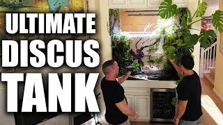 THE ULTIMATE DISCUS AQUARIUM [upl. by Kristyn]