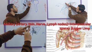 Axillary ArteryVeinNerveLymph nodesIntermuscular spaces  Upper Limp [upl. by Hollenbeck371]