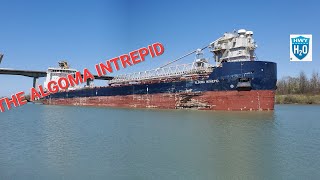 The Algoma Intrepid lining up for lock 3 [upl. by Cerelly]