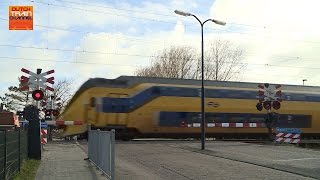 Dutch Railroad Crossing  Haantje at Rijswijk 1 [upl. by Galina548]