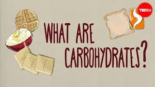 How do carbohydrates impact your health  Richard J Wood [upl. by Yelehsa266]