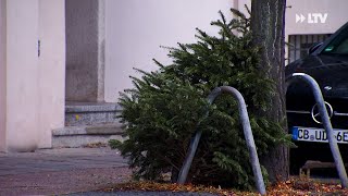 Weihnachtsbaum richtig entsorgen  die Kurznachrichten aus Cottbus vom 100122 [upl. by Quintus]