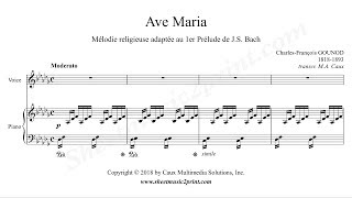 Gounod  Ave Maria  D flat Major [upl. by Ecertap]