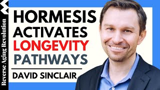 DAVID SINCLAIR quotHormesis Activates Longevity Pathwaysquot  Dr David Sinclair Interview Clips [upl. by Florrie7]