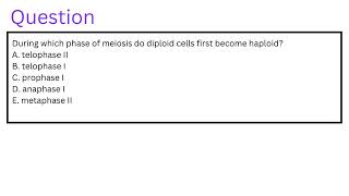 During which phase of meiosis do diploid cells first become haploid [upl. by Dzoba553]