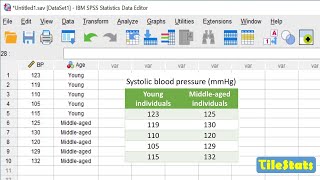 SPSS for beginners in 22 minutes  enter data plot and ttest [upl. by Nongim713]