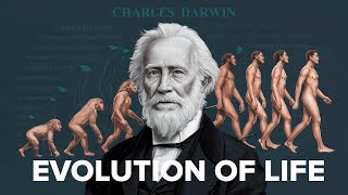 The Evolution of Life Understanding Darwins Theory Natural Selection and Speciation [upl. by Perlman]