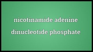 Nicotinamide adenine dinucleotide phosphate Meaning [upl. by Nalniuq199]