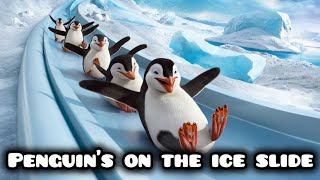 Penguins On The Ice Slide  Kid Rhyme  Tunebuds [upl. by Noraa361]