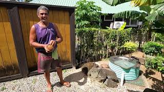 Rarotonga Beach amp Coconut Husking [upl. by Donadee]