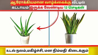 இந்த 12 செடிகள் வீட்டில் வளர்த்தால் ஏற்படும் மாற்றங்கள்  Healthy Plants for Life [upl. by Affay]