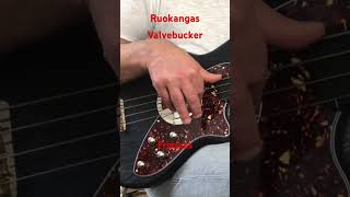 Markus Setzer  Ruokangas Valvebucker Fretless Bass [upl. by Maupin673]