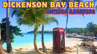 DICKENSON BAY BEACH  Antigua and Barbuda  the most popular beach  St John  Caribbean cruise [upl. by Eelyk]