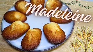 Maître des Madeleines La Recette Traditionnelle pour des Délices Fondants  CAP Pâtisserie [upl. by Ertnom]