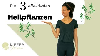 Die 3 wichtigsten HEILPFLANZEN für deine Gesundheit [upl. by Suiravat]