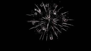 Evolution Fireworks Winternight  NEUHEIT 2017 [upl. by Eimaj]