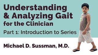 Understanding amp Analyzing Gait For The Clinician Part 01 Introduction To Series [upl. by Dlanar539]