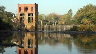 Shad Migration and Dam Removal [upl. by Ramburt]