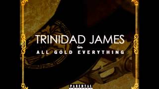 Trinidad James  All Gold Everything Acapella  100 BPM [upl. by Llekim356]