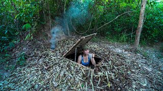 BUSHCRATF Camp in the Earth  Beef Steak on Mud stove Smokies  The Best of all Earth shelter [upl. by Alioz]