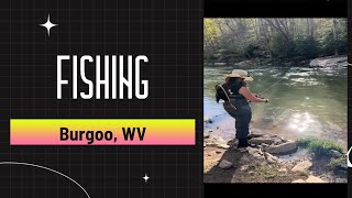 Elk River Bergoo WV fishing blessedlife [upl. by Parcel]